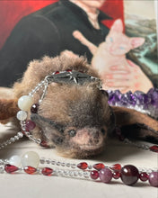 Load image into Gallery viewer, The Pale Elf