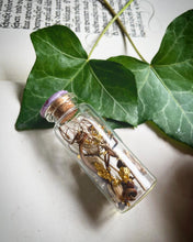 Load image into Gallery viewer, Dionysus Reliquaries