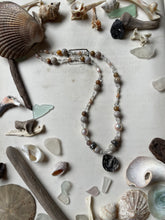 Load image into Gallery viewer, Shell Secrets