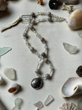 Load image into Gallery viewer, Shell Secrets